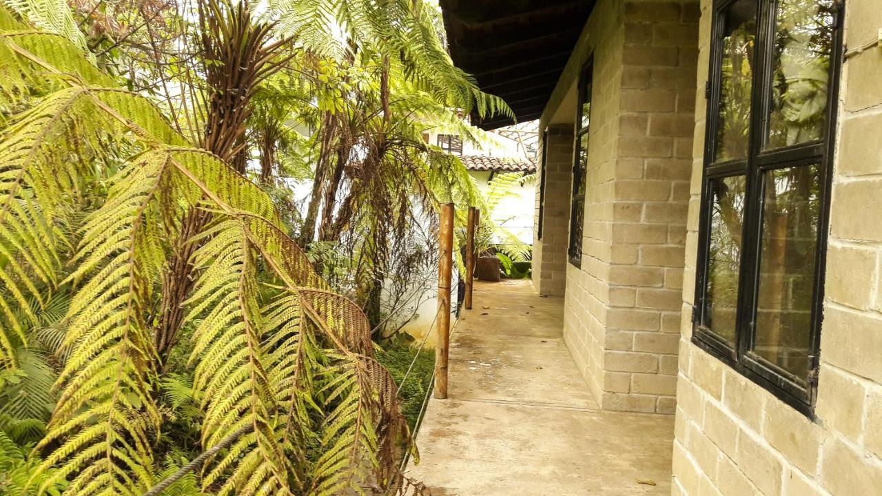 Hospedaje Totalmanik Cuetzalán del Progreso Exteriör bild