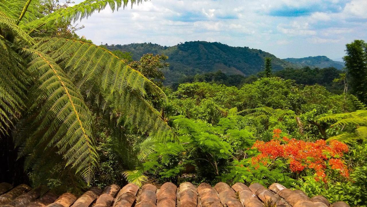 Hospedaje Totalmanik Cuetzalán del Progreso Exteriör bild
